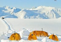 When Appearance Matters: Choosing Materials That Combine Texture and Strength